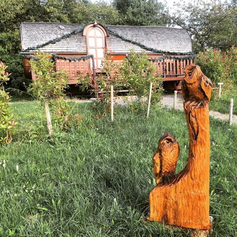 Le Chalet Du Chemin Et Sa Roulotte Berviller-en-Moselle Dış mekan fotoğraf