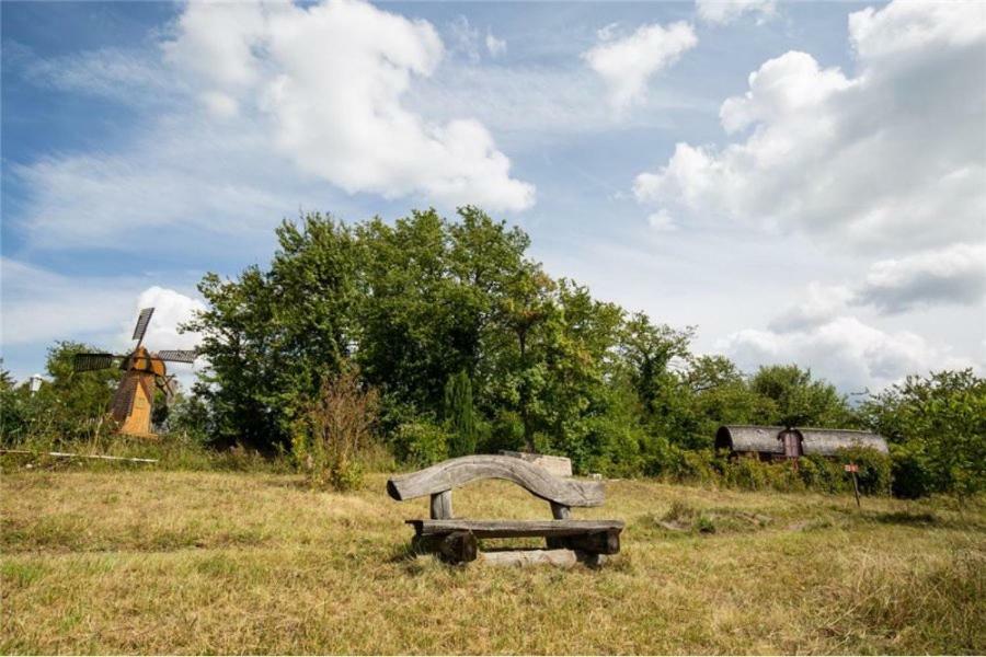 Le Chalet Du Chemin Et Sa Roulotte Berviller-en-Moselle Dış mekan fotoğraf
