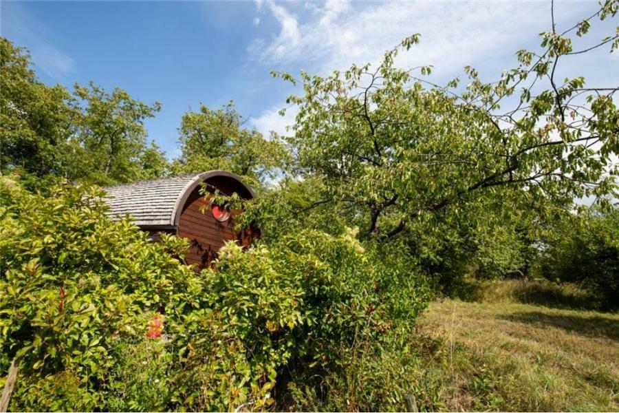 Le Chalet Du Chemin Et Sa Roulotte Berviller-en-Moselle Dış mekan fotoğraf
