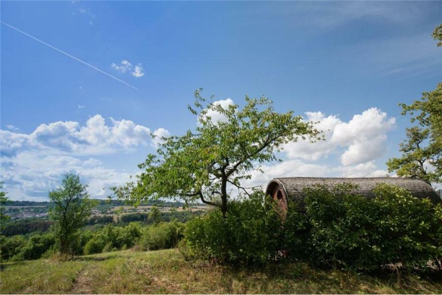 Le Chalet Du Chemin Et Sa Roulotte Berviller-en-Moselle Dış mekan fotoğraf